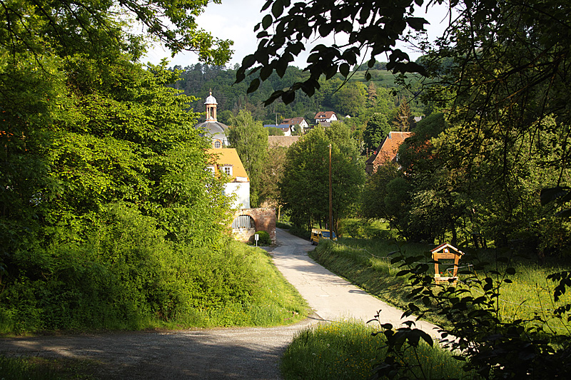 sdim2121