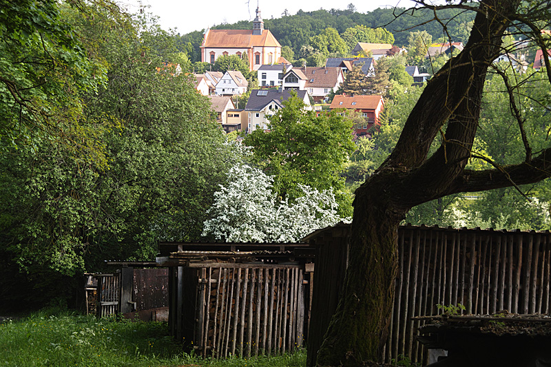 sdim2124