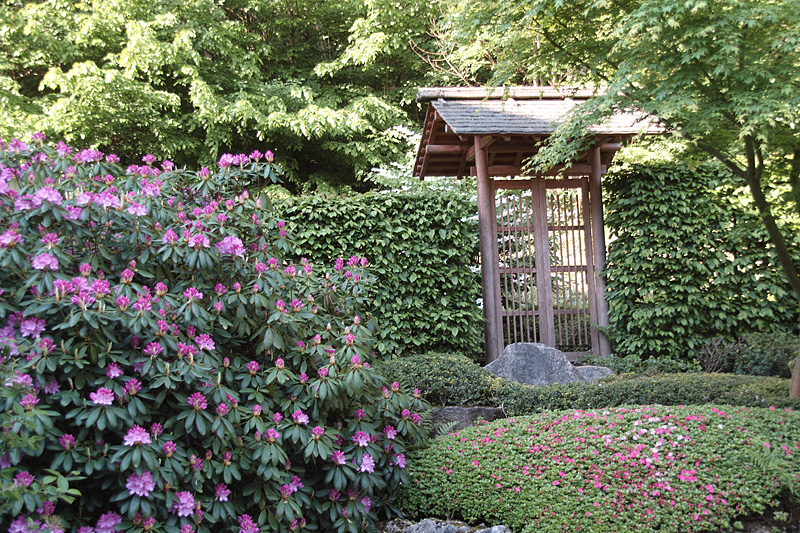 sdim2131