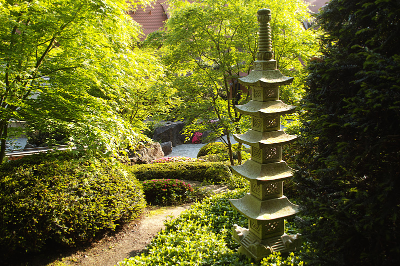 sdim2137