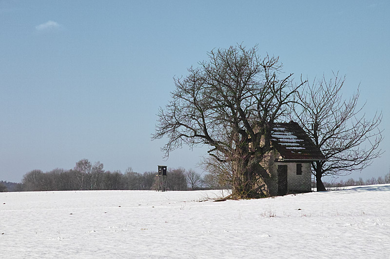 lager-im-vorfruehling